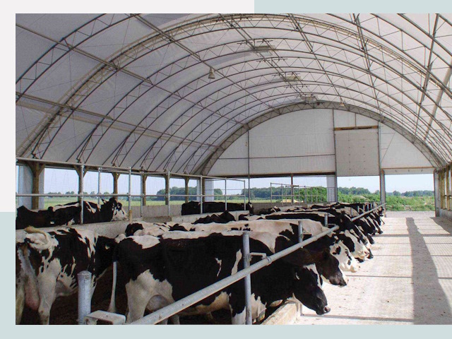 Тентовые коровники в Кулебаках